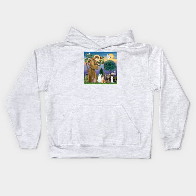 Sister Francis and her Five Cats Kids Hoodie by Dogs Galore and More